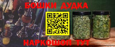 индика Краснознаменск