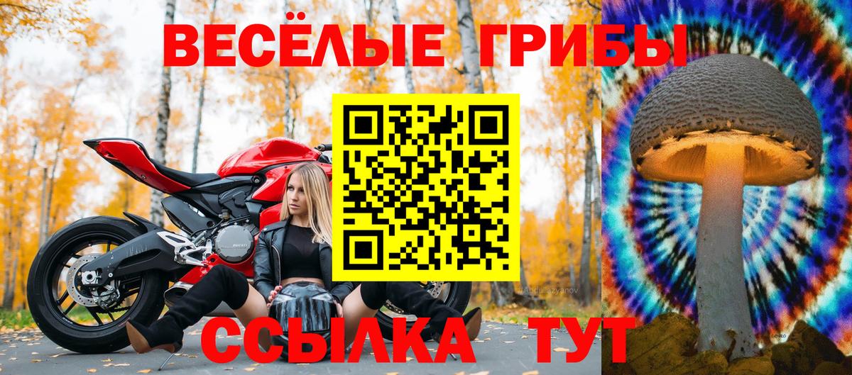 Псилоцибиновые грибы мухоморы Красногорск