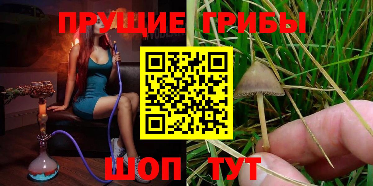Галлюциногенные грибы Psilocybe  Псилоцибиновые грибы Magic Shrooms  Вход с VPN  Красногорск 